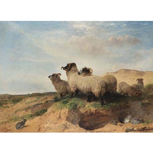 - Dealul nisipului 1853 - 6