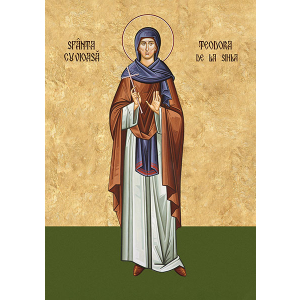 - Sfânta Cuvioasă Teodora de la Sihla - 5